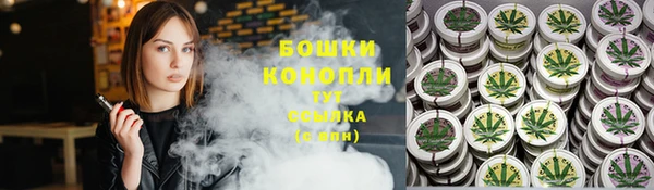 бошки Гусь-Хрустальный