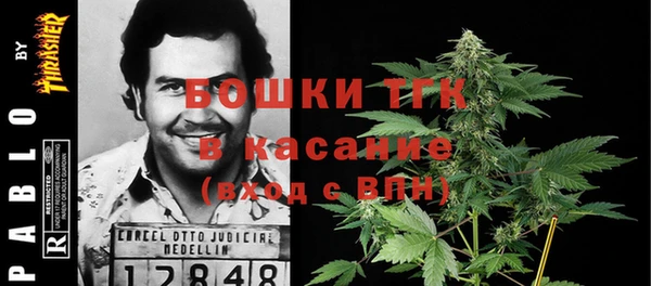 МДМА Горнозаводск